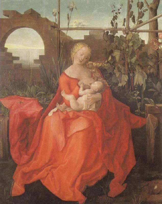 Albrecht Durer The Madonna with the Iris imitator of Albrecht Durer